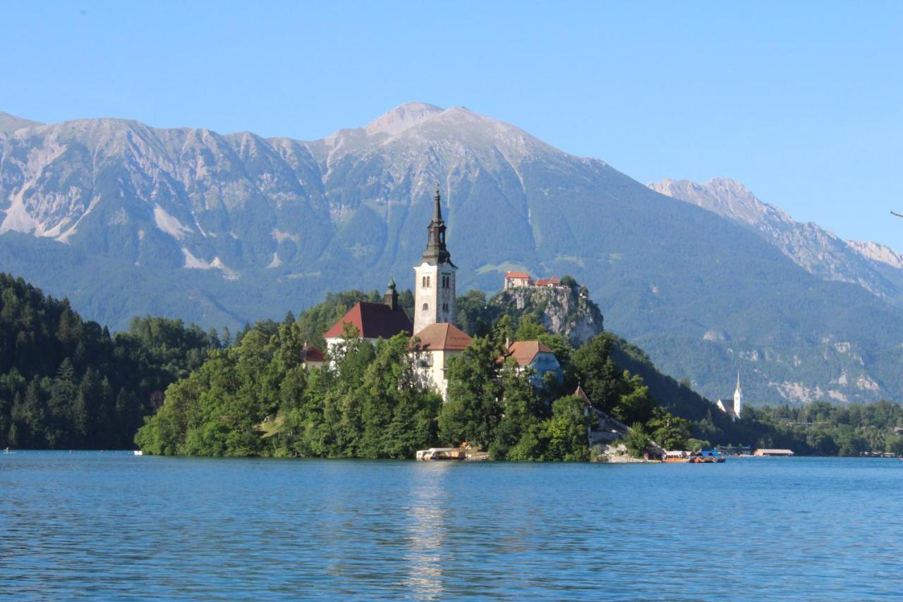 Homestead Zatrnik Near Bled Zewnętrze zdjęcie